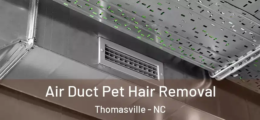 Air Duct Pet Hair Removal Thomasville - NC