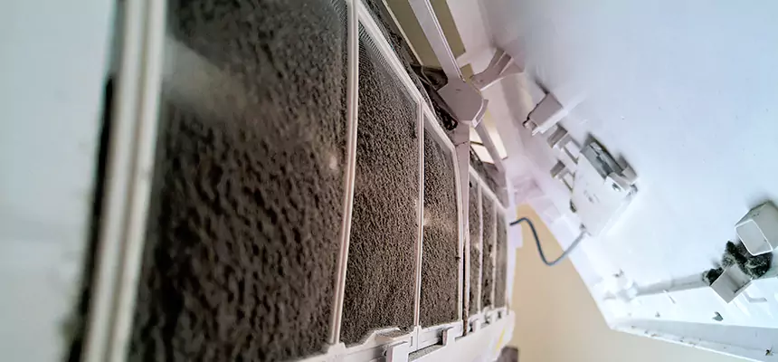 Preventive Air Duct Bacteria Removal in Thomasville