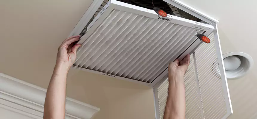 Our Insect Removal from Air Ducts Services in Thomasville, NC