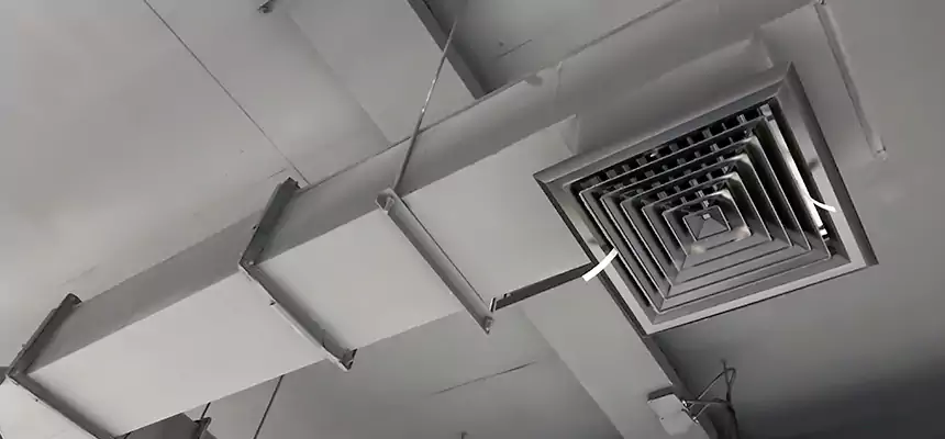 Our Rodent Droppings In Vents Services in Thomasville, NC