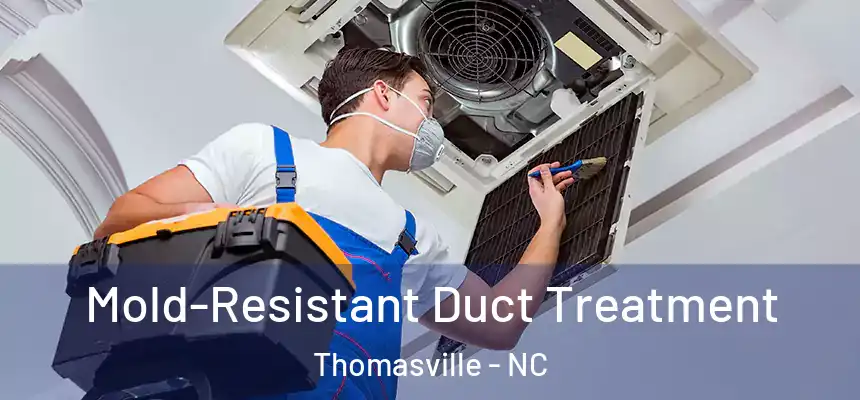  Mold-Resistant Duct Treatment Thomasville - NC