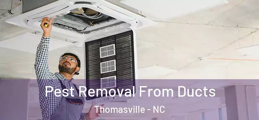  Pest Removal From Ducts Thomasville - NC