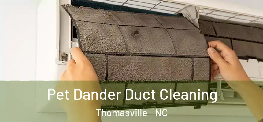  Pet Dander Duct Cleaning Thomasville - NC
