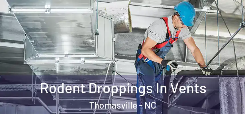 Rodent Droppings In Vents Thomasville - NC
