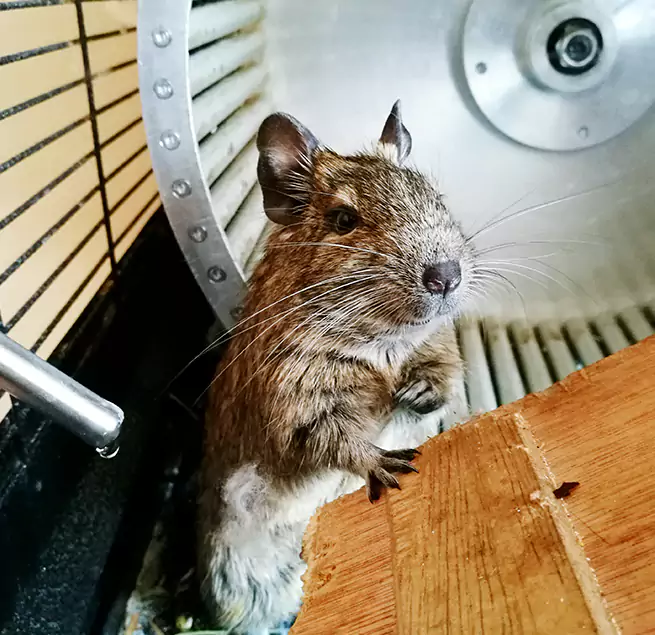 Why Homeowners & Businesses Trust Us Thomasville, NC?